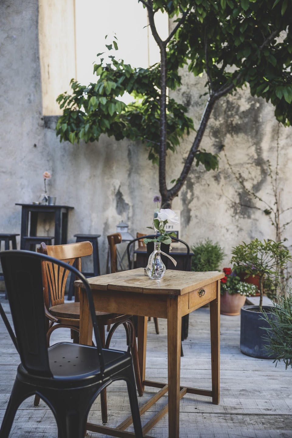 Wine Garden in Zadar